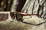 Topo Sunglasses | Clay: HD Plus Polarized G15 | Smokey Bear x CAMP