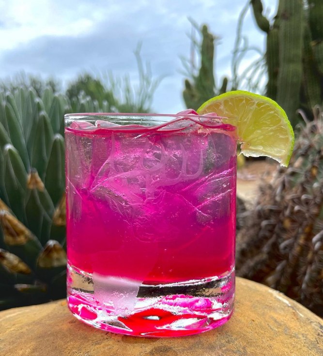 Prickly Pear Simple Syrup