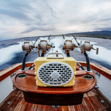 Turtlebox Gen 3 | Fighting Lady Yellow | Turtlebox Speakers