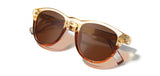 Francis ACTV Sunglasses | Canyon / Elm Burl | Brown Polarized | Shwood