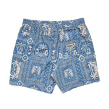 Deep Set Boardshorts | Palmetto Prophecy : Storm Blue | Howler Bros