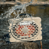 Turtlebox Trout Badge | Antique Sliver | Sight Line Provisions