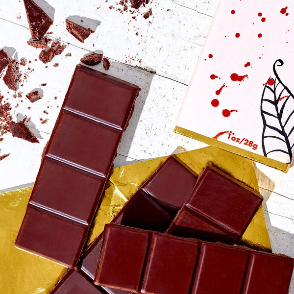 Alderwood Smoked Salt Chocolate Bar | Fine & Raw